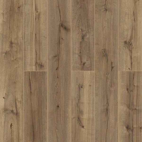 50677 дуб ЛОУСОН