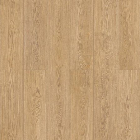 50817 дуб Виейра