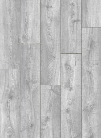 UWH 8632 Дуб старинный вяз