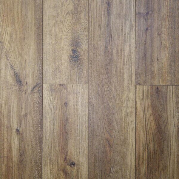 50547 Дуб Ронта